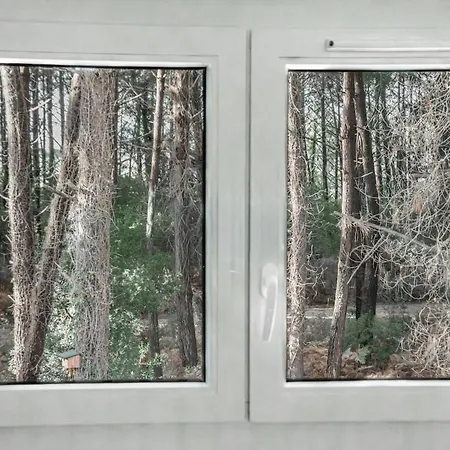 Maison 4 Personnes Bordure Foret * Капбретон